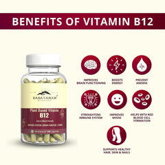Rasayanam Plant Based Vitamin B12 Supplement For Men & Women | Organic Formulation For Vegetarians & Vegans To Support Nervous System & Brain Function | 120 Capsules , 200gm 0.4lbs , Each Pack Of 2