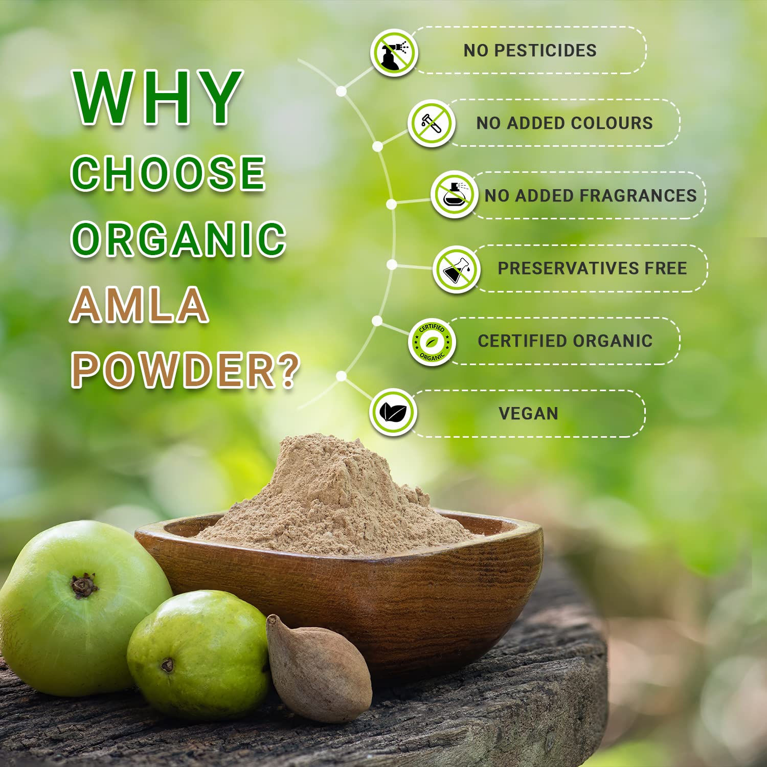 Organic Gyaan Amla Powder Natural & Organic, Indian Gooseberr Emblica Officinalis Powder For Hair & Skin, Goodness Of Nutrients | 100gm 0.2lbs