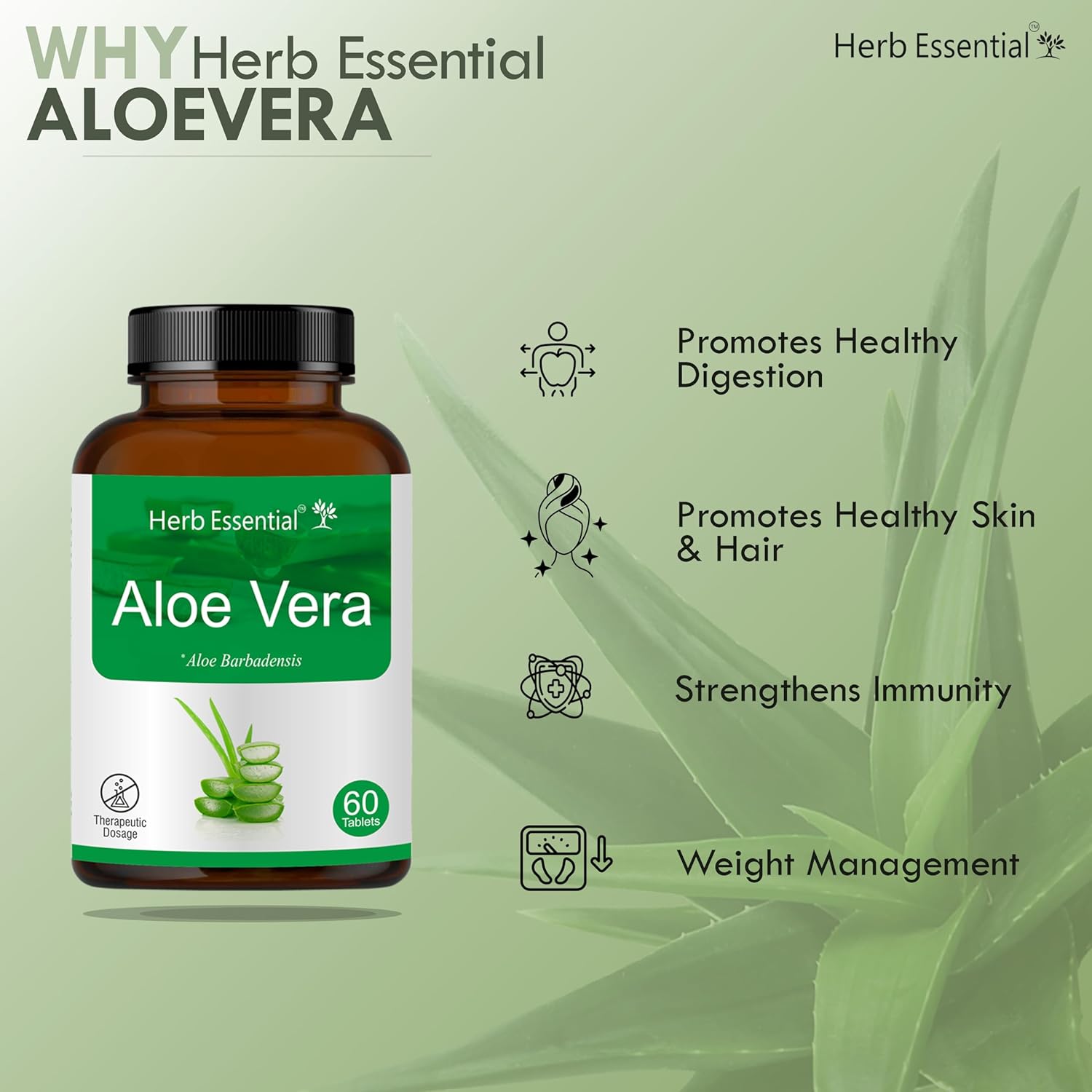 Herb Essential Aloevera Tablet, 500mg, Rejuvenate Skin & Hair, Made With 100% Pure Herb Extracts | 60 Tablets, 100gm 0.2lbs