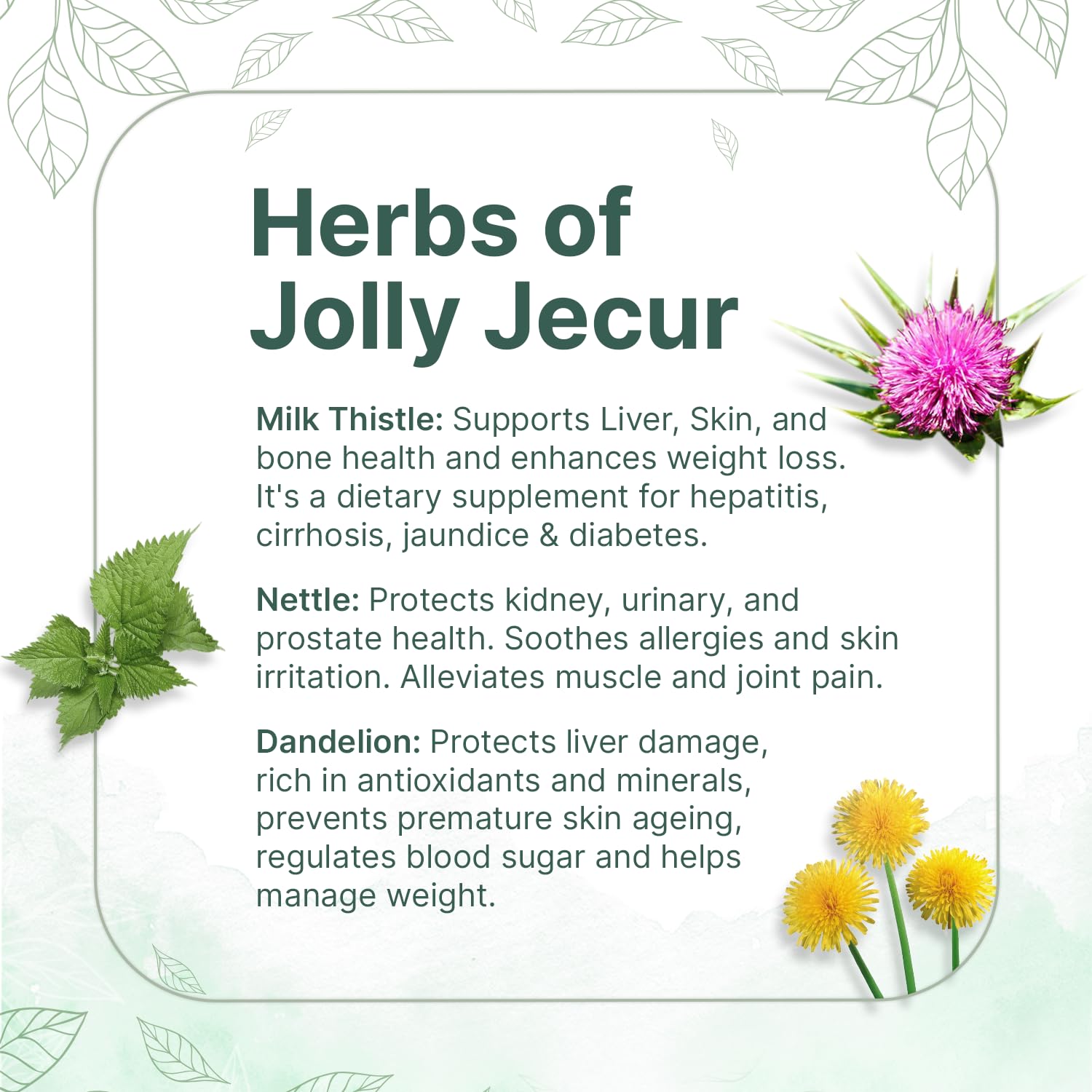 SOL Jolly Jecur Liver Detox Tea - 75gm, 2.6 Ounce | Infused With Dandelion Root, Milk Thistle & Nettle - Cleanses Liver & Enhances Kidney Function | Caffeine Free, No Additives