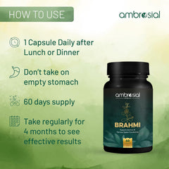 Ambrosial Brahmi Capsules 500mg Each Bacopa Monnieri , High Strength Brain Nootropics Supplements To Enhance Memory, Focus, Mental Performance & Energy | 60 Capsules 100gm 0.2lbs