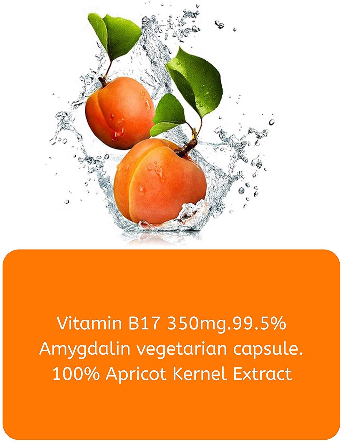 Jivan Shree Vitamin B17 Amygadling 100% Natural , Immune Support | 60 Vegetarian Capsules , 100gm 0.2lbs