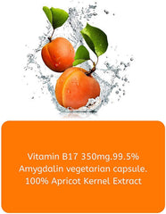 Jivan Shree Vitamin B17 Amygadling 100% Natural , Immune Support | 60 Vegetarian Capsules , 100gm 0.2lbs