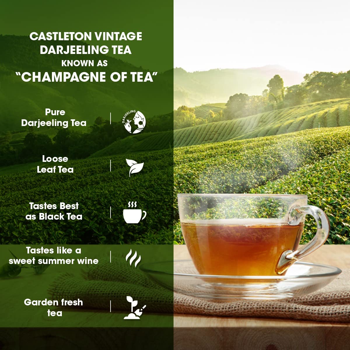 Goodricke Castleton Vintage Darjeeling Tea - 100gm Tin, 3.5 Ounce | Premium Black Tea With Rich Taste & Aroma - Single Estate Whole Leaf Chai | 100% Organic & Natural Loose Leaves Tea - Low Caffeine