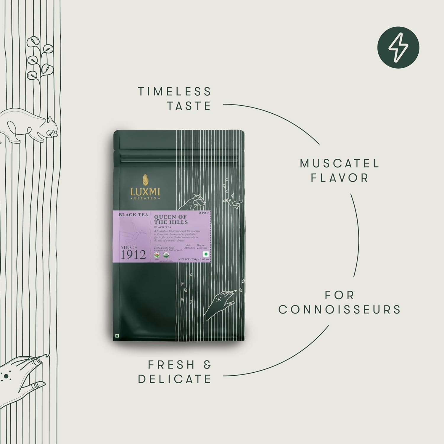 Luxmi Estates Queen Of The Hills Black Tea 250gm, 8.8 Ounce - 125 Cups | Certified Organic Black Tea - 100% Biodegradable & Plastic Free | No Additives, High Caffeine Black Tea