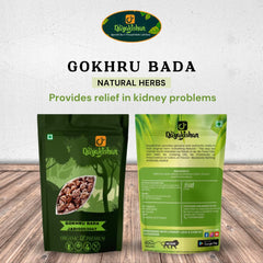 Dayakishan Gokhru Bada, Gokshura Big, Gokharu Bada Whole, Raw Pedalium Murex, Sabut Gokhru Bada, Tribulus Terrestris, Gokhru Seeds, Large Caltrops, Palleru, Nerunjil | 100gm 0.2lbs
