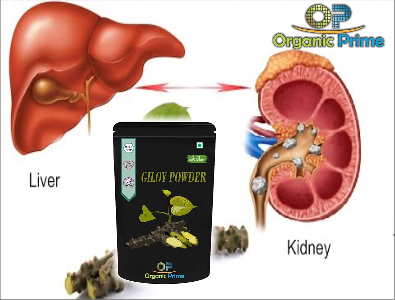 Organic Prime Giloy Powder Guduchi Tinospora Cordifola, Immunity Support, For Immunity Wellness, Helps To Maintain Healthy Body Temperature | 500gm 1.1lbs