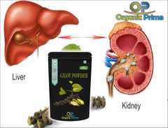 Organic Prime Giloy Powder Guduchi Tinospora Cordifola, Immunity Support, For Immunity Wellness, Helps To Maintain Healthy Body Temperature | 500gm 1.1lbs