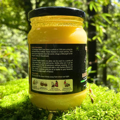Premium Himalayan Organic Badri Cow Ghee By Orang Utan | Naturally Nourishing & Moisturising Bilona Method Healthy Cow Ghee | (300ml) 10.1 Ounce | Jar Pack