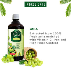 Dabur Amla Juice Rich Source Of Vitamin C Effective Antioxidants For Immunity Boosting Pure, Natural & 100% Ayurvedic Juice | 1 Litre 2.2lbs