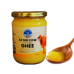 Premium Natural A2 Gir Cow Ghee By Rachiket | Rich In Nutrients & Healthy Fats Bilona Cow Ghee Good For Digestive Health | (500ml) 16.9 Ounce | Jar Pack