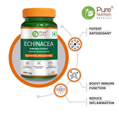 Pure Nutrition Echinacea Capsules Antioxidant, Immune Booster, Anti - Inflammatory, Enhances The Body’s Natural Defense Mechanisms | 60 Veg Capsules 100gm 0.2lbs