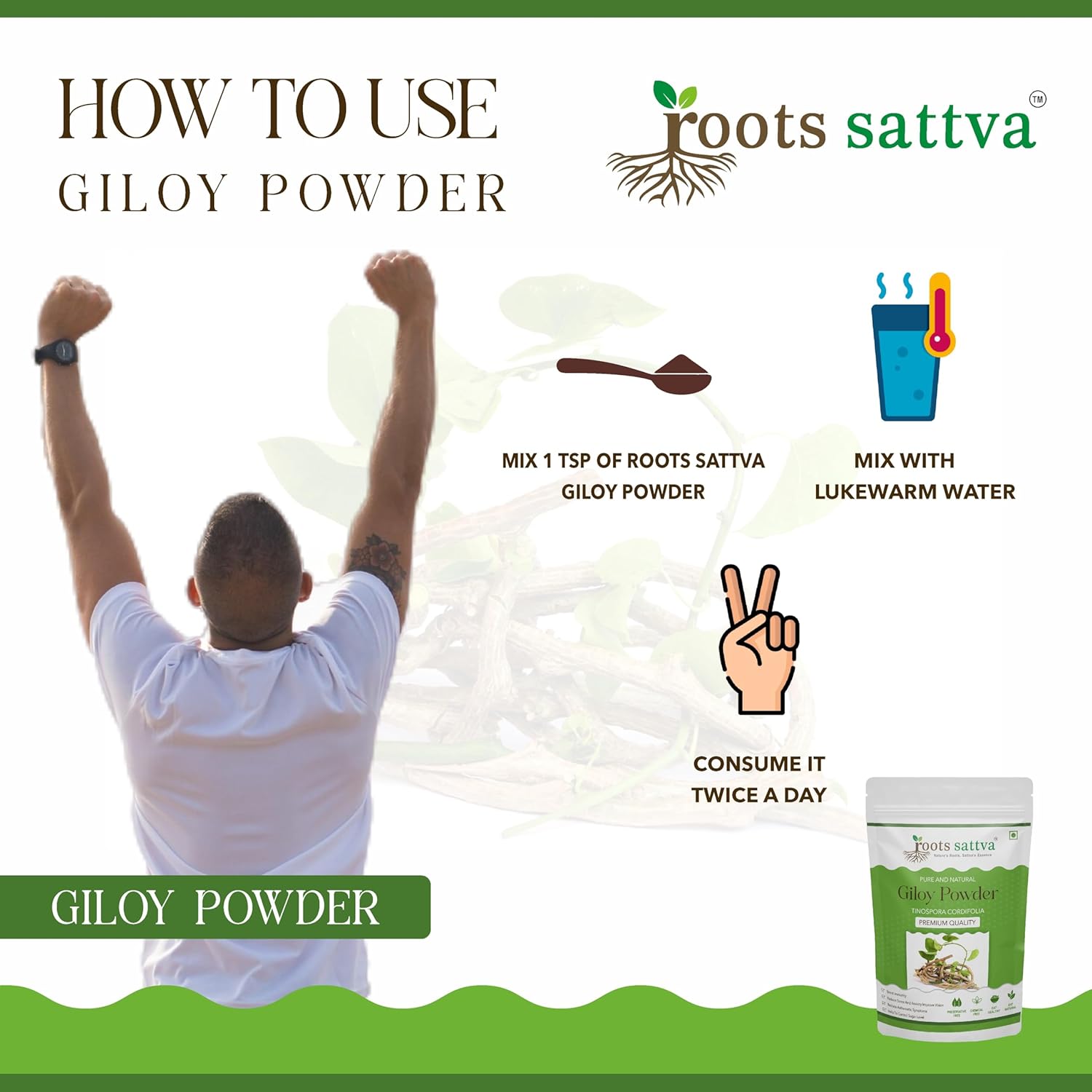 Roots Sattva Giloy Powder, Organic Sustainable Sourced, Immune Boosting, Digestion, Reduces Stress, Immune - Boosting Properties, Help Fight Infections & Prevent Illnesses | 200gm 0.4lbs