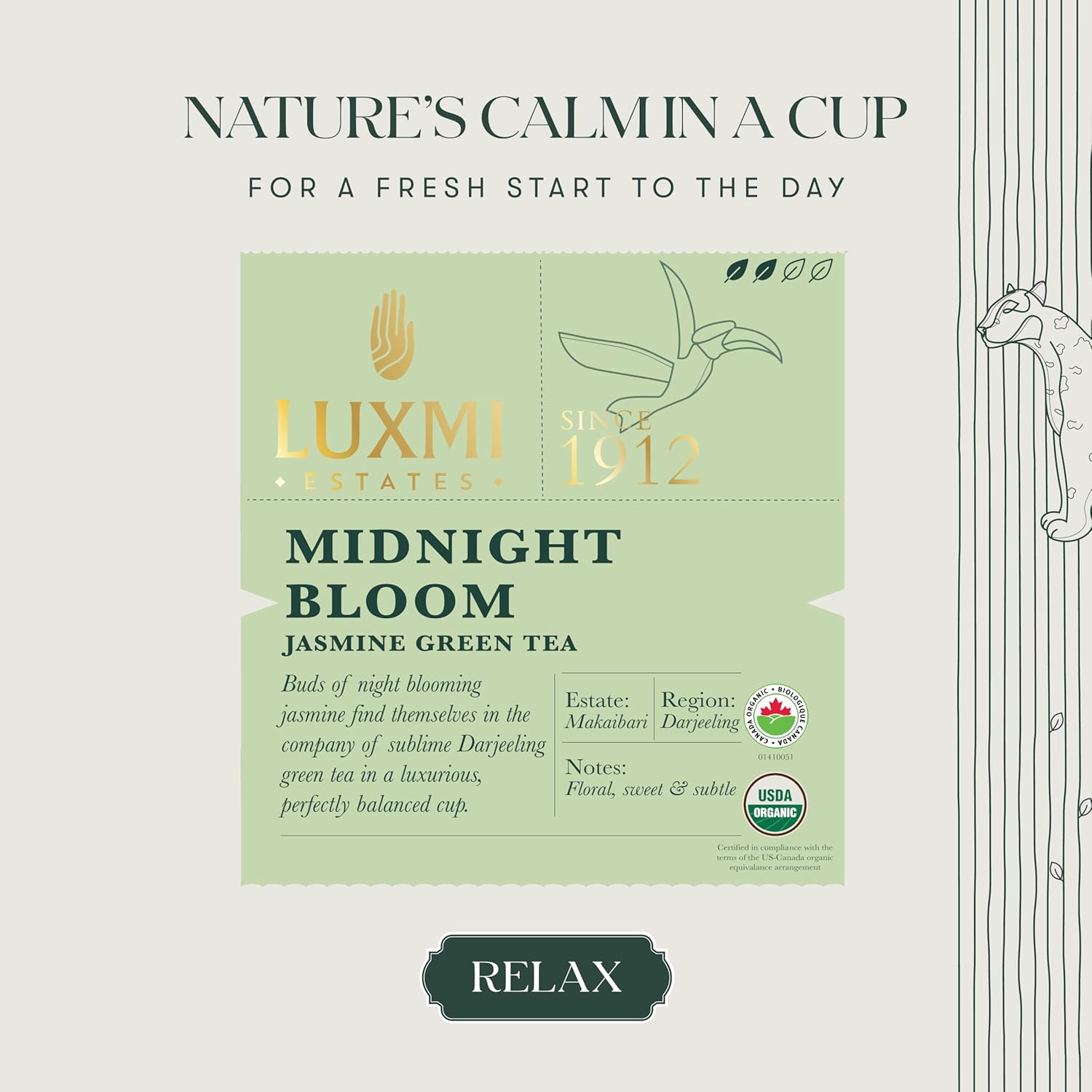 Luxmi Estates Midnight Bloom Jasmine Green Tea - 50gm, 1.7 Ounce, 25 Tea Bags | USDA Certified Organic Tea - Low Caffeine Green Tea | Additives Free Darjeeling Green Tea