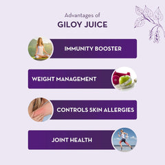 Baidyanath Asli Ayurved Giloy Juice Natural Immunity Booster, Help To Overcome Weakness After Long Illness | 1 Litre 2.2lbs