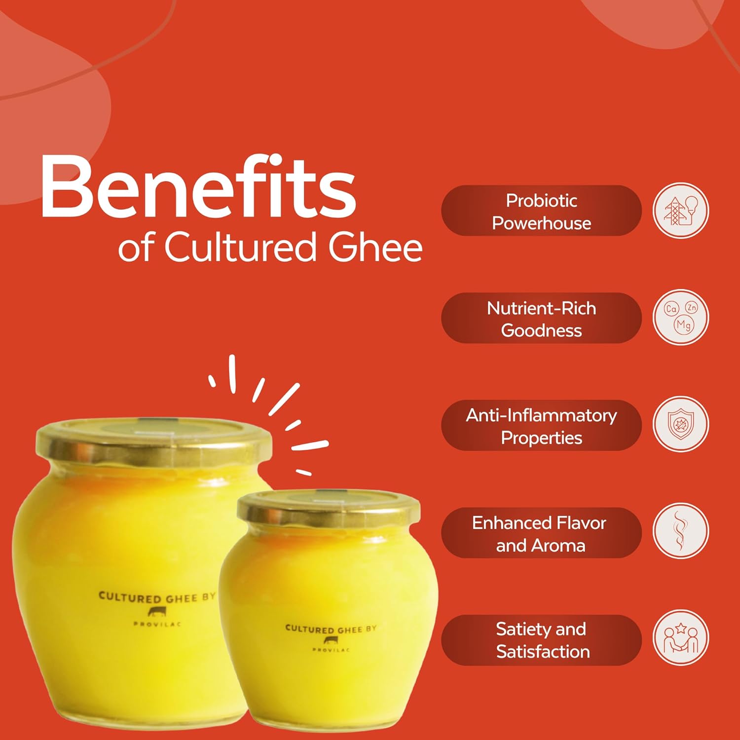 Natural Cultured Cow Ghee By Provilac | Rich In Vitamin A, D & K Healthy Vedic Bilona Method Pure Desi Ghee | (500ml) 16.9 Ounce | Jar Pack