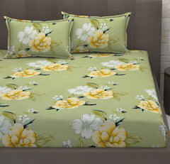 Cotton Elastic Fitted Bedsheets With 2 King Size Pillow Covers - 72 X 78 X 10 Inches, Light Green | Double Bed With All Around Elastic 350 Thread Count
