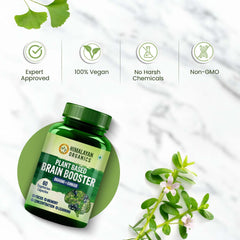 Himalayan Organics Plant Based Brain Booster Supplement With Ginkgo Biloba & Brahmi, Healthy Brain, Stress Relief, Improve Focus | 60 Veg Capsules 100gm 0.2lbs