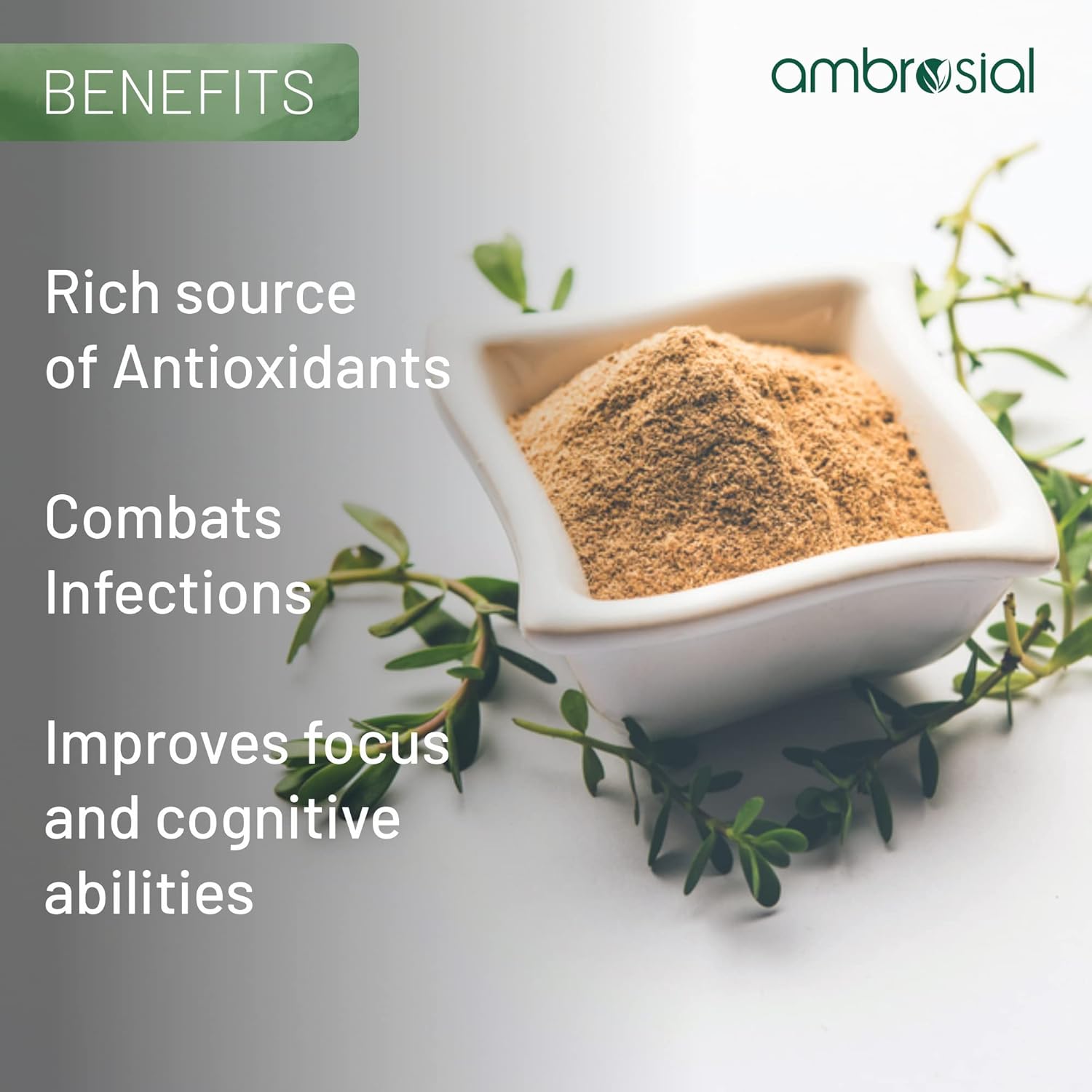 Ambrosial Brahmi Capsules 500mg Each Bacopa Monnieri , High Strength Brain Nootropics Supplements To Enhance Memory, Focus, Mental Performance & Energy | 60 Capsules 100gm 0.2lbs
