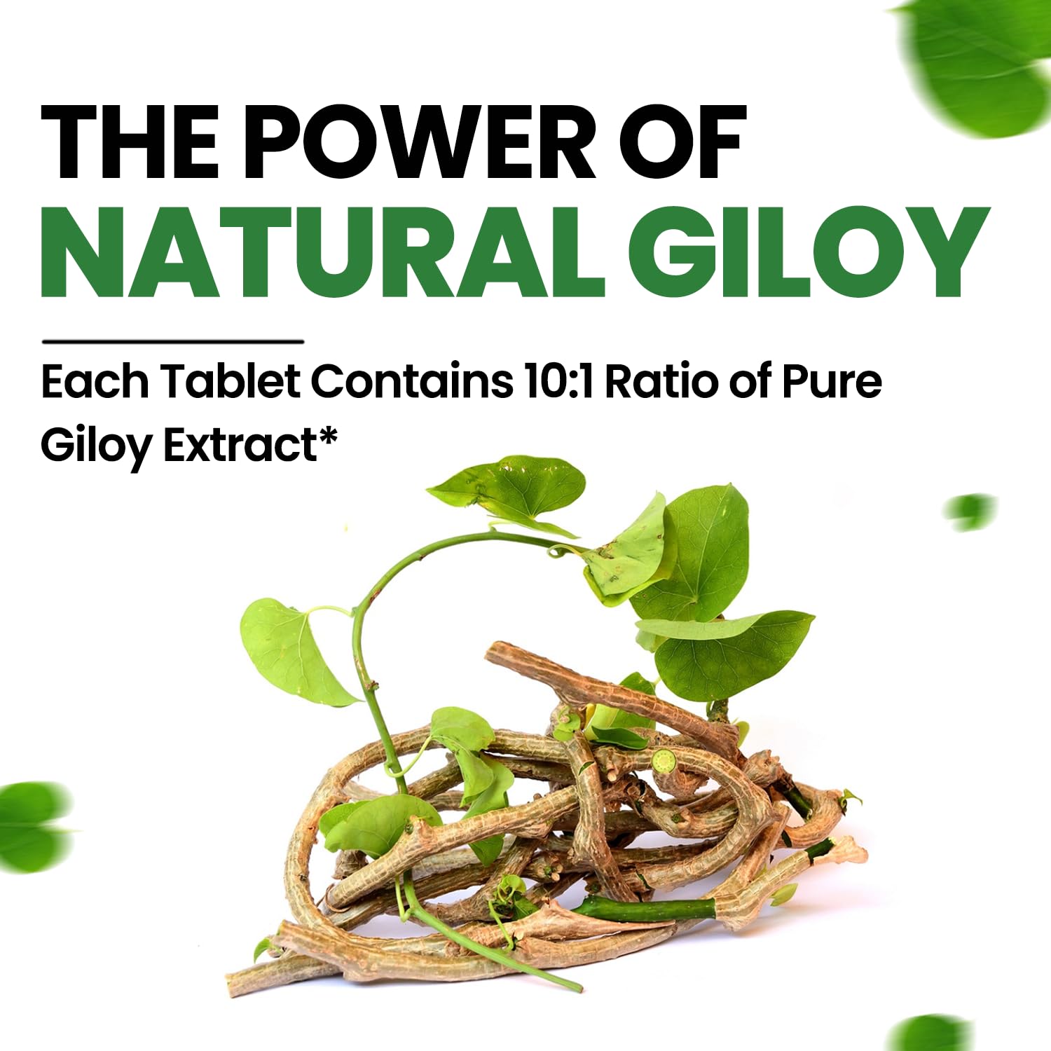 Himalayan Organics Giloy Extracts Guduchi 500mg, Antioxidant Properties, Immunity Booster, Helps In Blood Purification | For Mens & Women 120 Veg Tablets 150gm 0.3lbs
