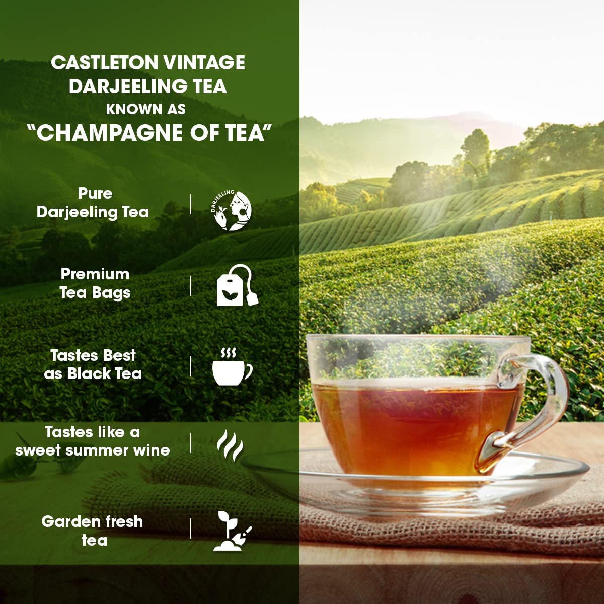 Goodricke Castleton Vintage Darjeeling Tea - 100 Tea Bags | Single Estate Premium Tea - Full-Bodied & Rich Taste | Low Caffeine