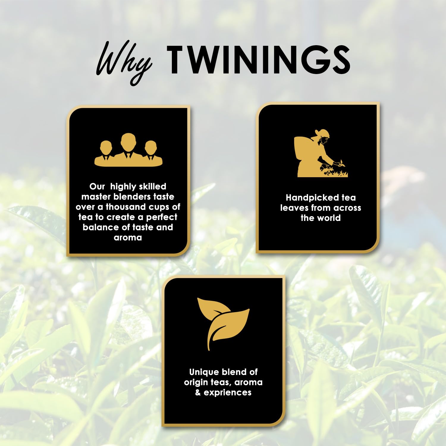 Twinings Pure Chamomile Infusion Delicate & Calming Tea - 25 Envelope Tea Bags | Promotes Good Sleep, Stress Relief, Relax - Light & Gentle Taste, Caffeine Free