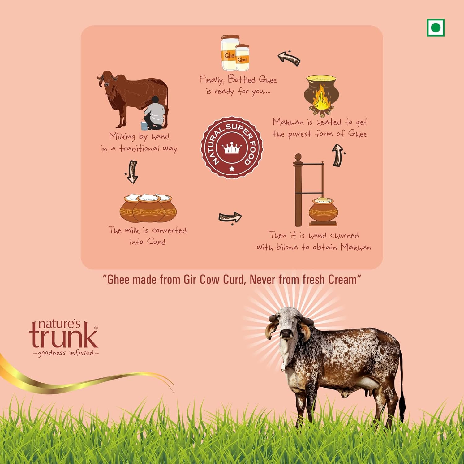 Natural A2 Desi Gir Cow Ghee By Nature'S Trunk | Vedic Bilona Method Healthy & Tasty Gir Cow Ghee Good For Sweets | (450ml) 15.2 Ounce | Jar Pack
