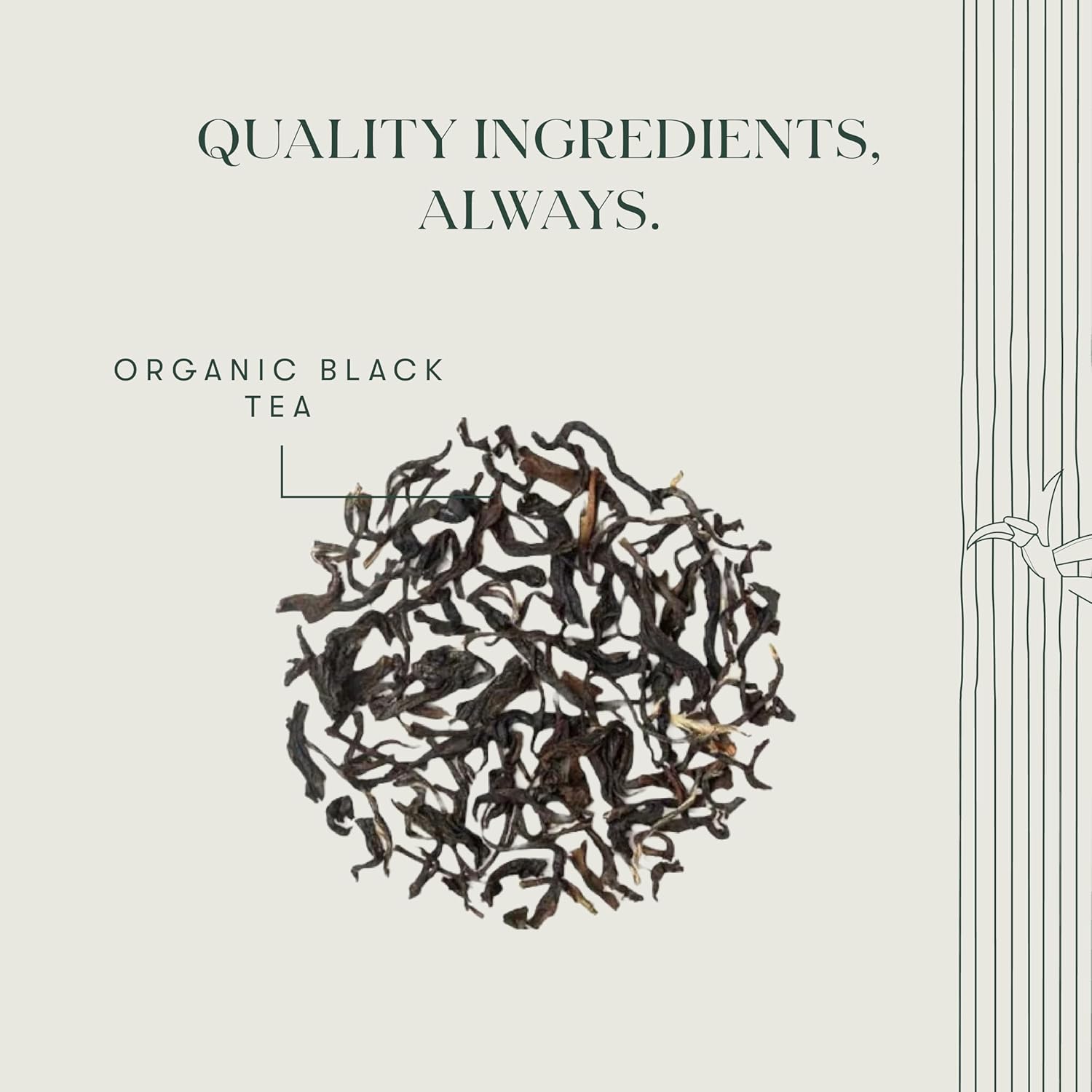 Luxmi Estates Queen Of The Hills Black Tea 30gm, 1.05 Ounce - 15 Tea Bags | Certified Organic Black Tea - 100% Biodegradable & Plastic Free | No Additives, High Caffeine Black Tea