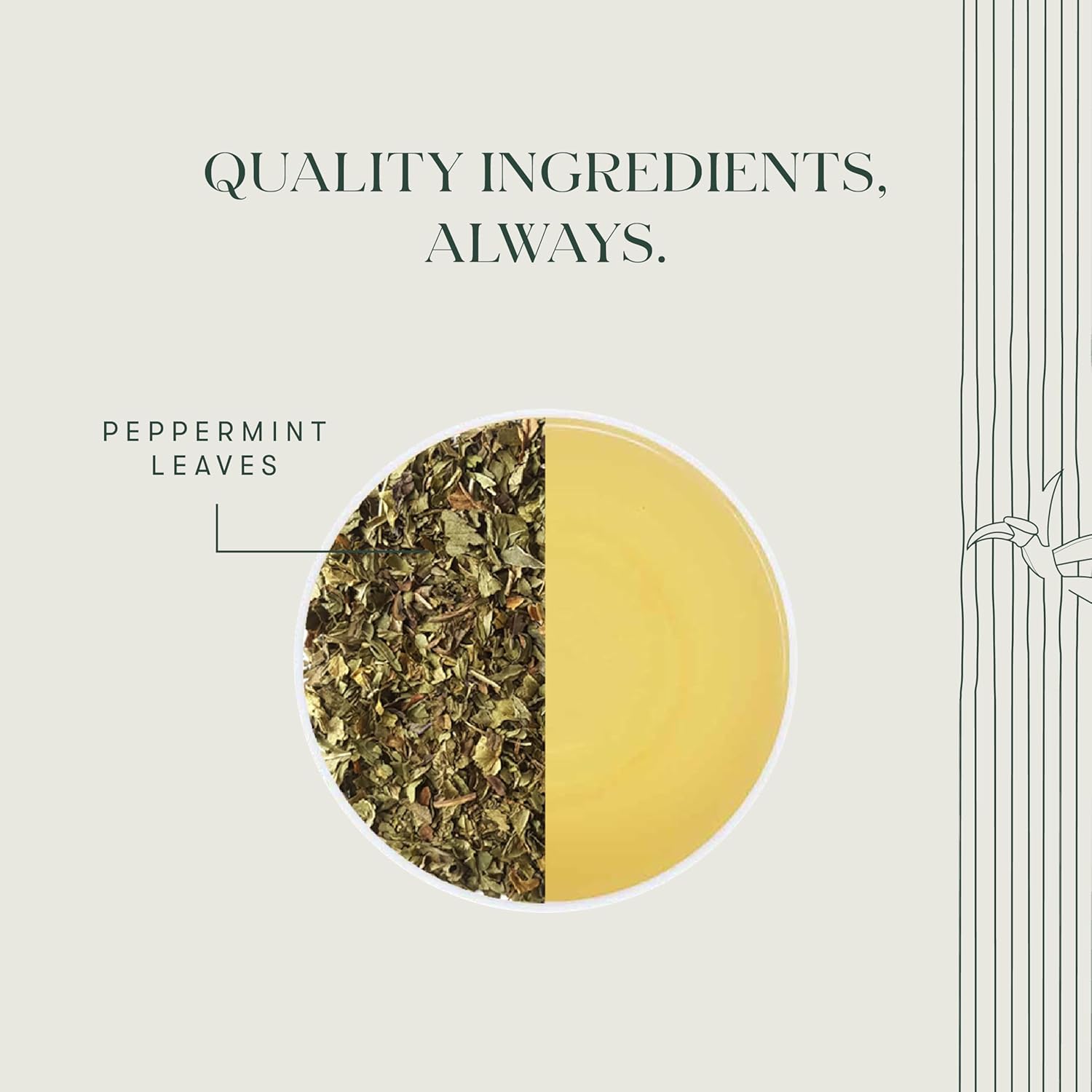Luxmi Estates Pure Peppermint Herbal Tea - 100gm, 3.5 Ounce, 50 Tea Bags | USDA Certified Organic Tea - Caffeine Free Herbal Tea | Rich In Antioxidants, Additives Free - Mint Tea Best For Night Time