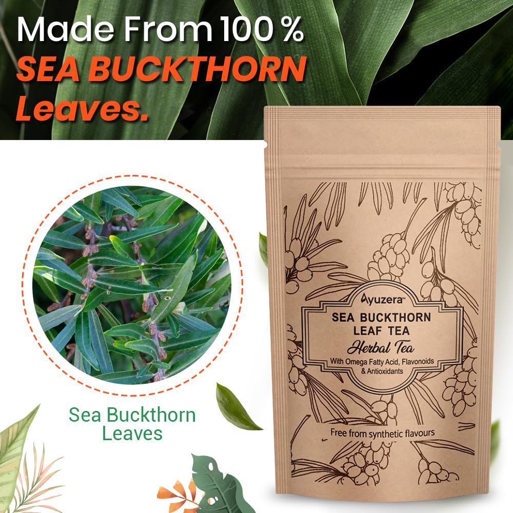 Ayuzera Sea Buckthorn Herbal Leaf Tea - 50gm, 1.7 Ounce | Good For Skin & Immunity, Improves Metabolism - Rich In Antioxidants, Caffeine Free