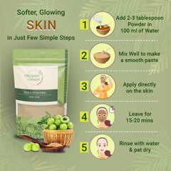 Organic Gyaan Amla Powder Natural & Organic, Indian Gooseberr Emblica Officinalis Powder For Hair & Skin, Goodness Of Nutrients | 100gm 0.2lbs