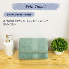 Rangoli 100% Cotton Fibre 2 Hand Towel 500 Gsm | Highly Durable & Super Absorbent Towel | Skin-Friendly & Quick Drying Luxury Towels (Mint Green)