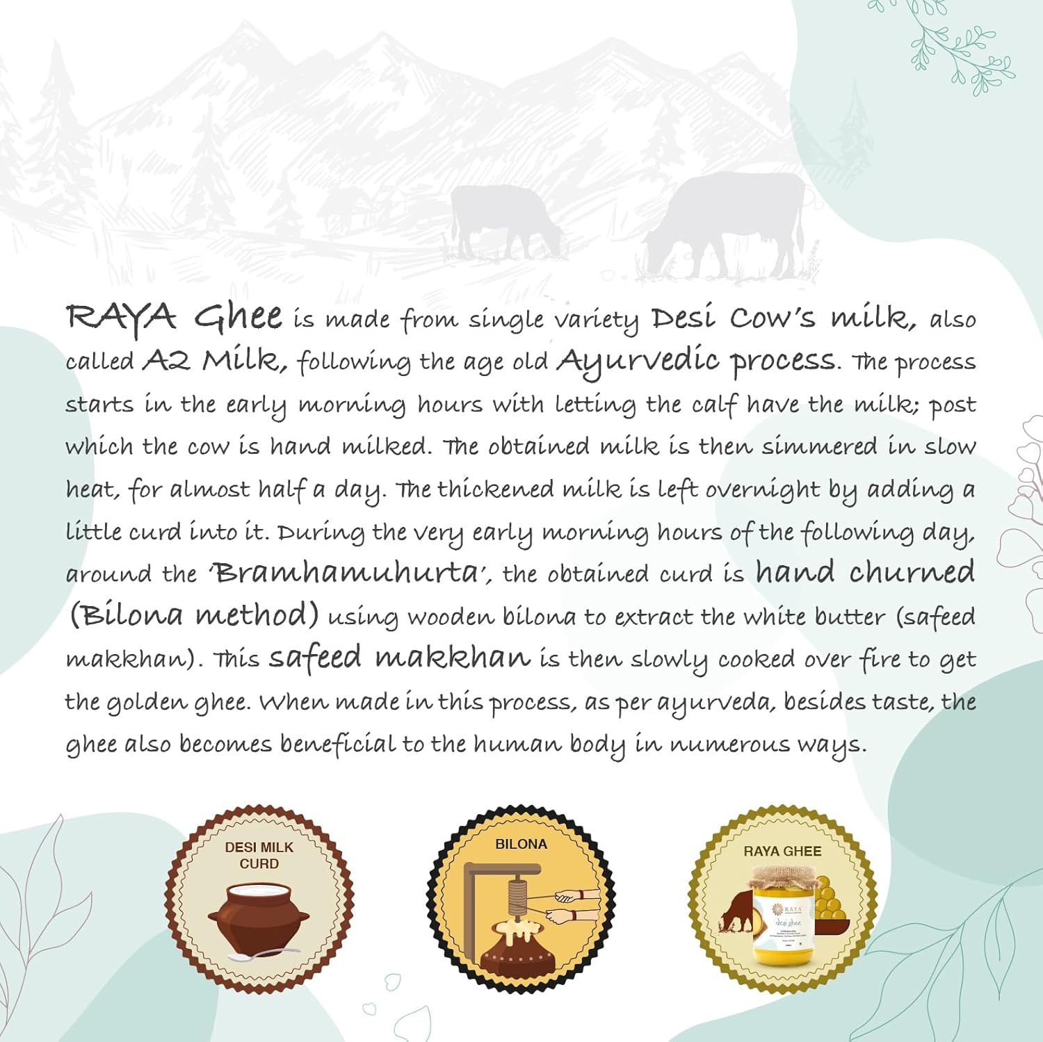 Organic A2 Desi Cow Ghee By Raya | Good Source Of Protein Fiber & Vitamin A Healthy Desi Ghee Perfect For Parathe | (500ml) 16.9 Ounce | Jar Pack