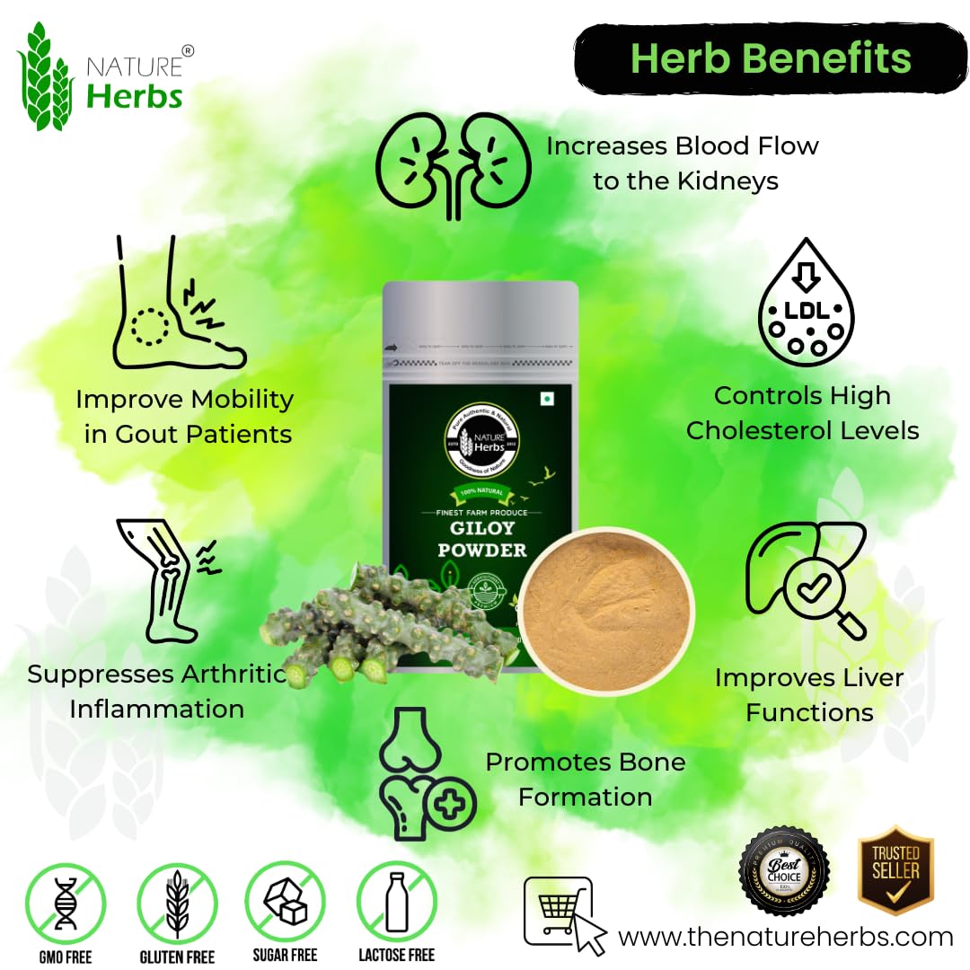 Nature Herbs 100% Pure Giloy Powder, Helps Improve Digestion & Boost Immunity | 200gm 0.4lbs Each Pack Of 2
