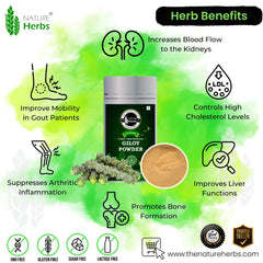 Nature Herbs 100% Pure Giloy Powder, Helps Improve Digestion & Boost Immunity | 200gm 0.4lbs Each Pack Of 2