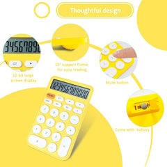 Vewingl Standard Calculator 12 Digit, Desktop Large Display And Buttons, Calculator With Large LCD Display For Office, School, Home & Business Use, Automatic Sleep, With Battery