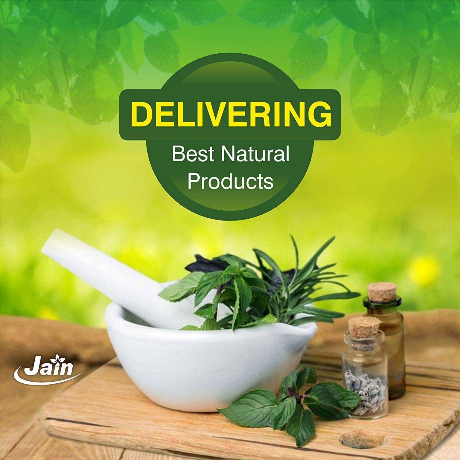 Jain Guduchi Stem Powder 100% Pure, Vegan & Paraben Free, Strengthens The Tissues, Bolsters Immunity & Promotes Vitality | 100gm 0.2lbs Each Pack Of 2