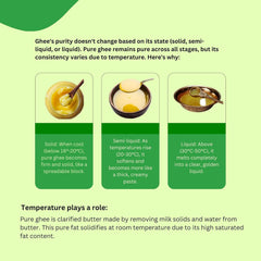 Pure Premium Buffalo Danedar Ghee By Panchamrut | Rich In Nutrients & Delicious Healthy Desi Ghee For Cooking | 3 Litre (500ml * 6) 101.4 Ounce | Jar Pack
