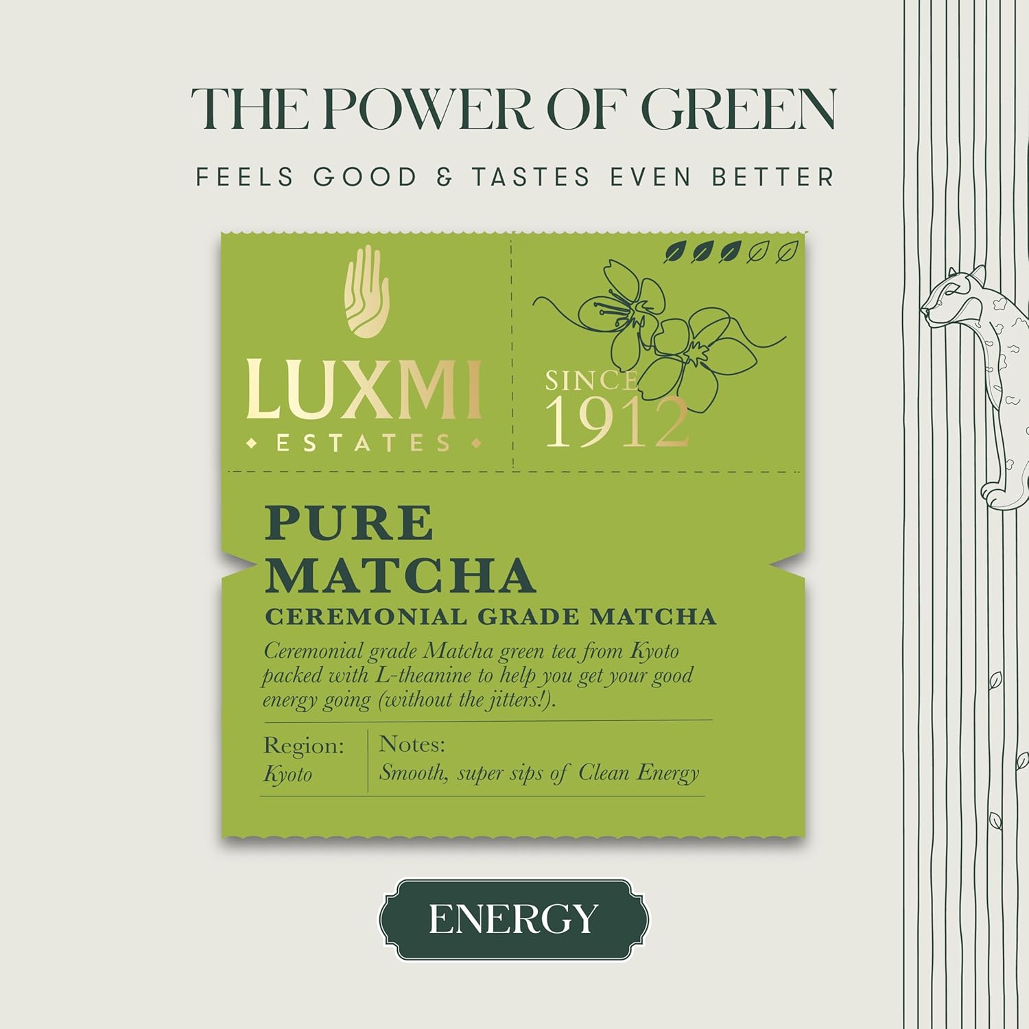 Luxmi Estates Ceremonial Grade Pure Matcha Green Tea - 50gm, 1.7 Ounce | USDA Certified Organic Green Tea Powder - Caffeine Free Green Tea | Rich In Antioxidants
