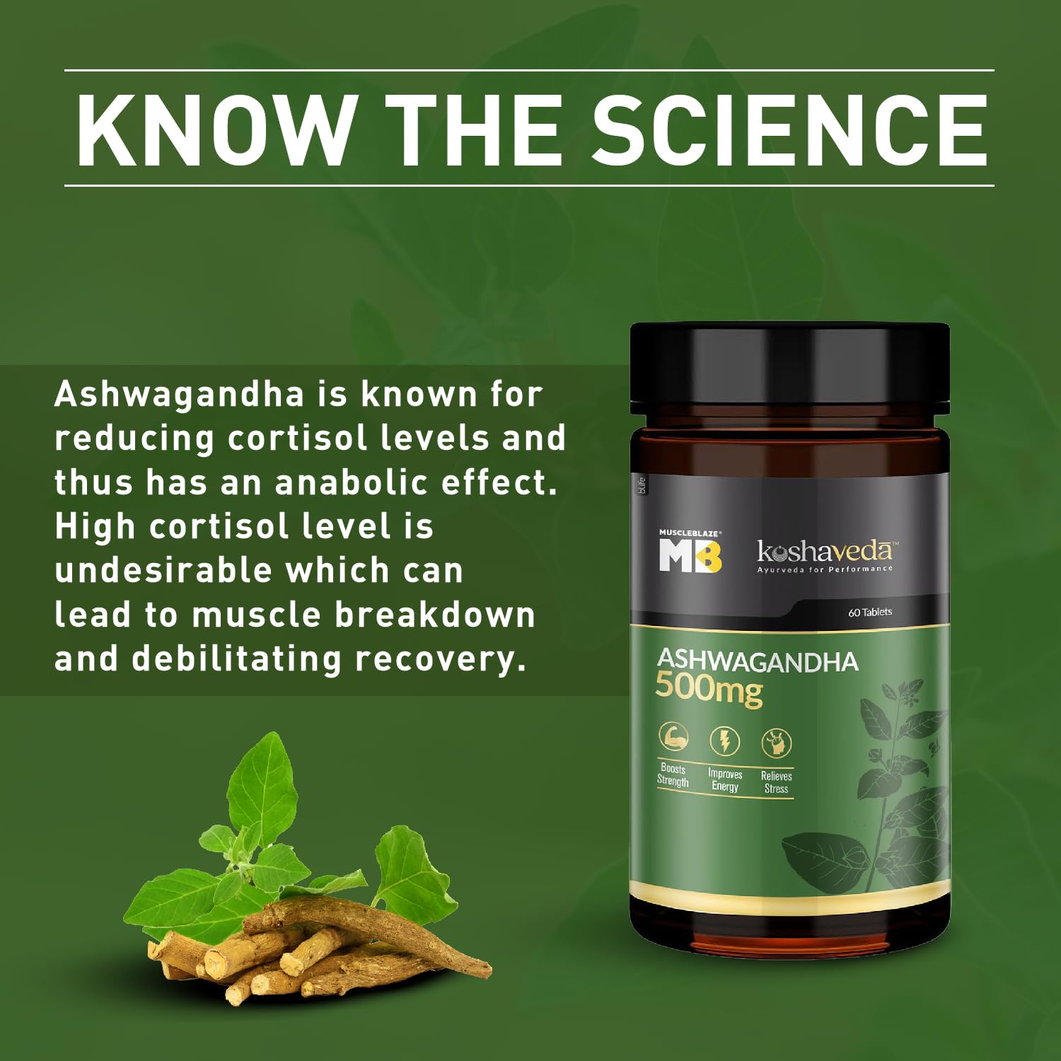 Muscleblaze Koshaveda Ashwagandha 500mg Ayurveda For Performance, Ayush Approved, High Strength Potent Formula, Boost Muscle Mass & Strength, Enhance Immunity | 60 Tablets 100gm 0.2lbs Each Pack Of 2