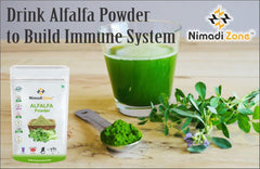 Nimadi Zone Alfalfa Grass Powder, Rich In Calcium, Phosphorous, Potassium, Trace Minerals, Enzymes And Vitamins | 500gm 1.1lbs