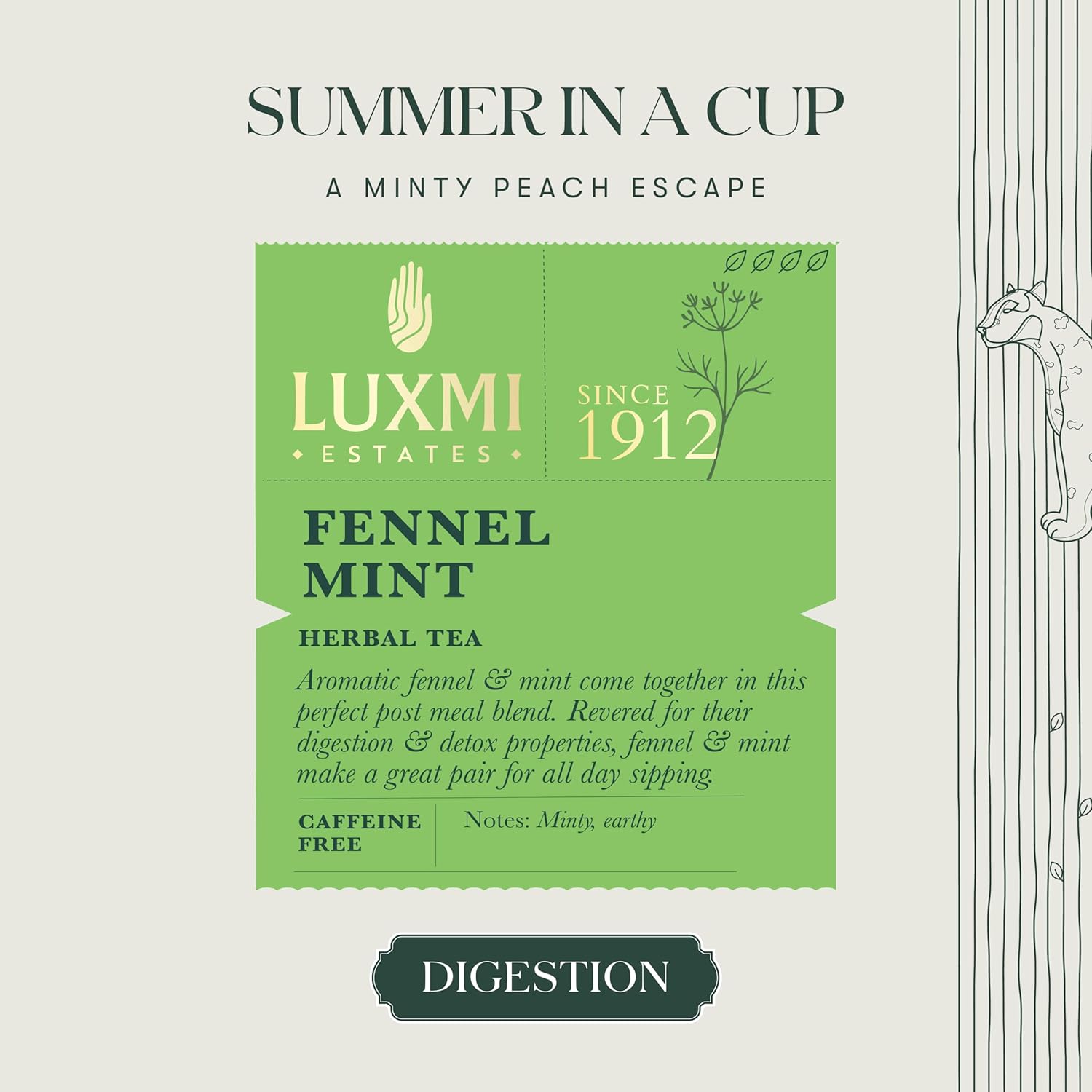 Luxmi Estates Fennel Mint Herbal Tea - 100gm Tin Caddy, 3.5 Ounce, 50 Cups | USDA Organic Certified Tea - Caffeine Free Herbal Tea | Additives Free Loose Leaves