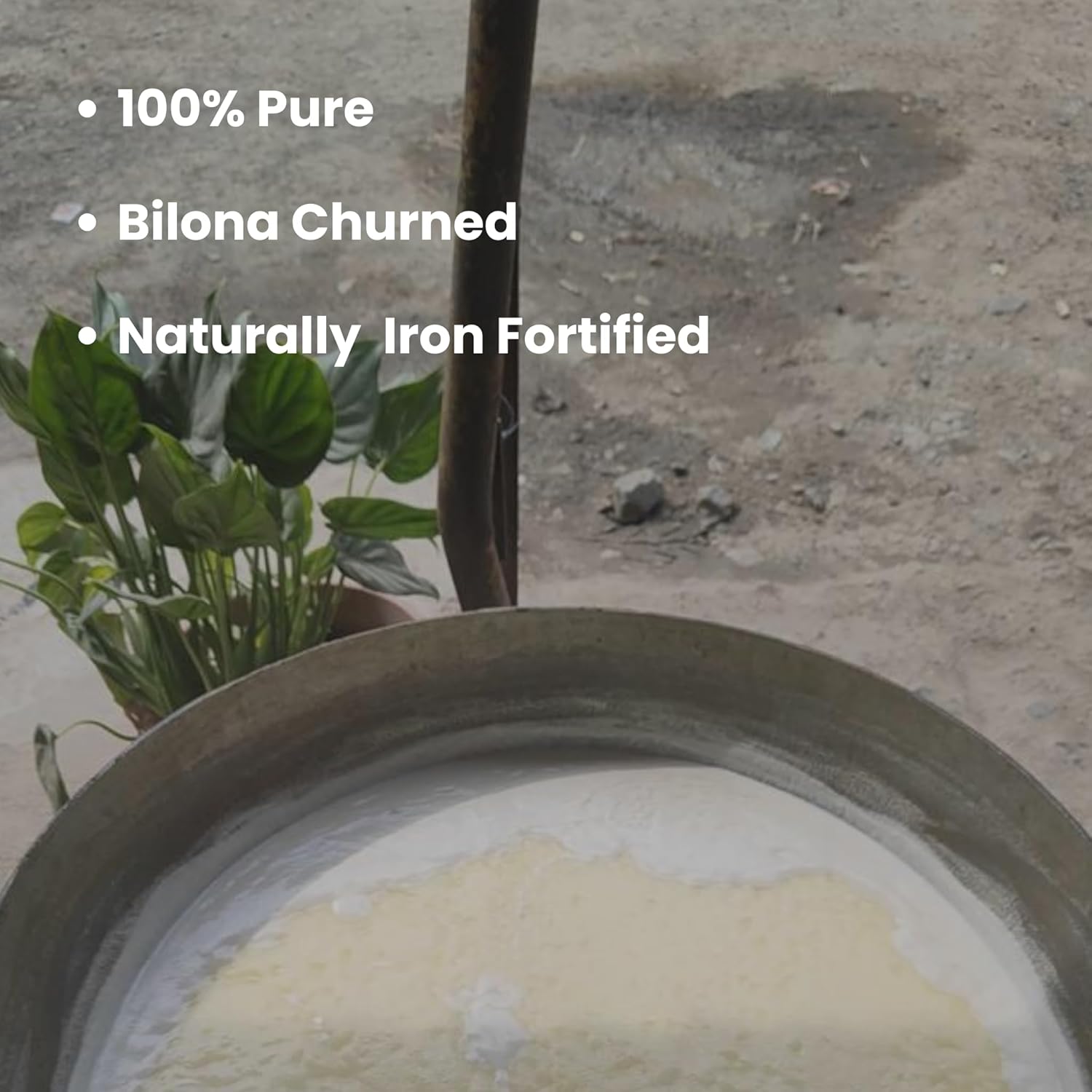 Premium Organic A2 Desi Ghee By Samkhya | Good Source Of Vitamins & Minerals Healthy Desi Cow Ghee For Sweets | (1 Litr) 33.8 Ounce | Jar Pack