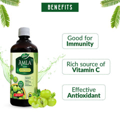 Dabur Amla Juice Rich Source Of Vitamin C Effective Antioxidants For Immunity Boosting Pure, Natural & 100% Ayurvedic Juice | 1 Litre 2.2lbs