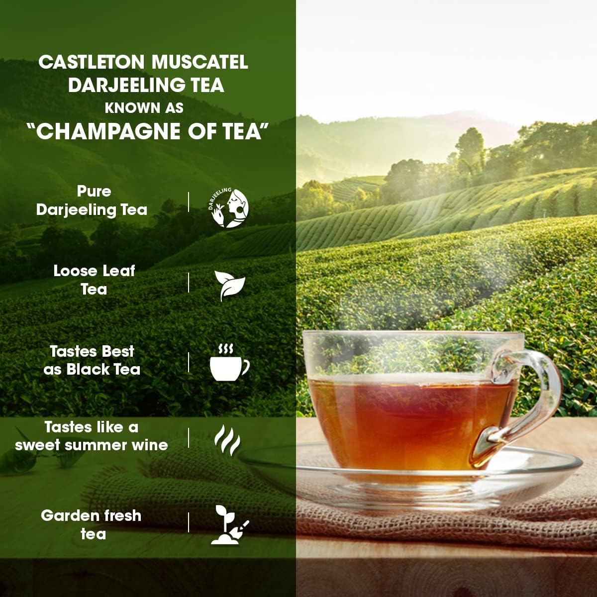 Goodricke Castleton Muscatel Darjeeling Tea - Pack Of 2 X 100gm Tin, 3.5 Ounce Each | Premium Flavored Black Tea With Long Lasting Taste - Single Estate Whole Leaf Tea | 100% Pure Loose Leaves Chai