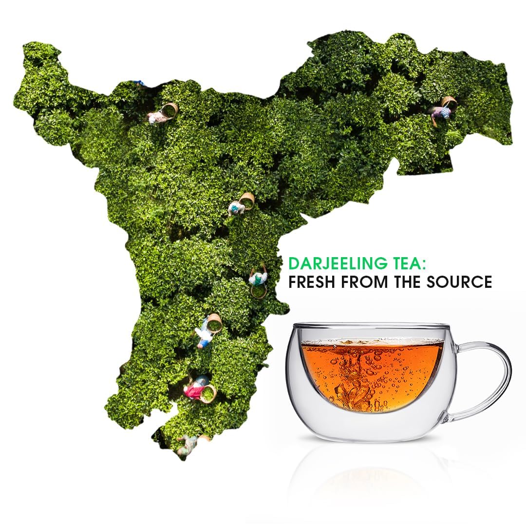 Teabox Organic Darjeeling Whole Leaf Green Tea - 100gm, 3.5 Ounce | Brisk, Light & Fresh Whole Leaf Tea - Straight From The Himalayas | 100% Natural, 0% Bitterness, Low Caffeine