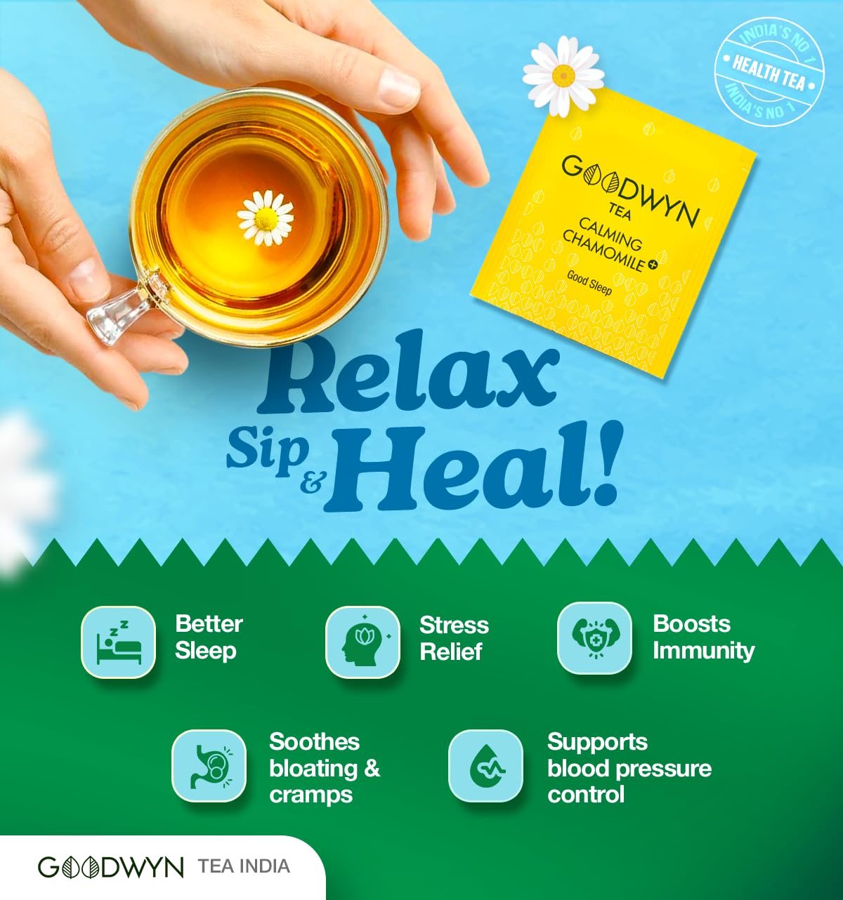 Goodwyn Calming Chamomile Herbal Tea - 20 Enveloped Tea Bags | Boosts Immunity, Relieves Stress - Handpicked & Farm Fresh Herbal Tea | Caffeine Free, No Preservatives