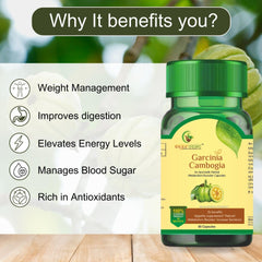 Sayurvedic Garcinia Cambogia Metabolism Booster, For Weight Loss, Improves Digestion, Maintaining Energy Levels & Overall Well - Being. For Men & Women | 60 Capsules 100gm 0.2lbs