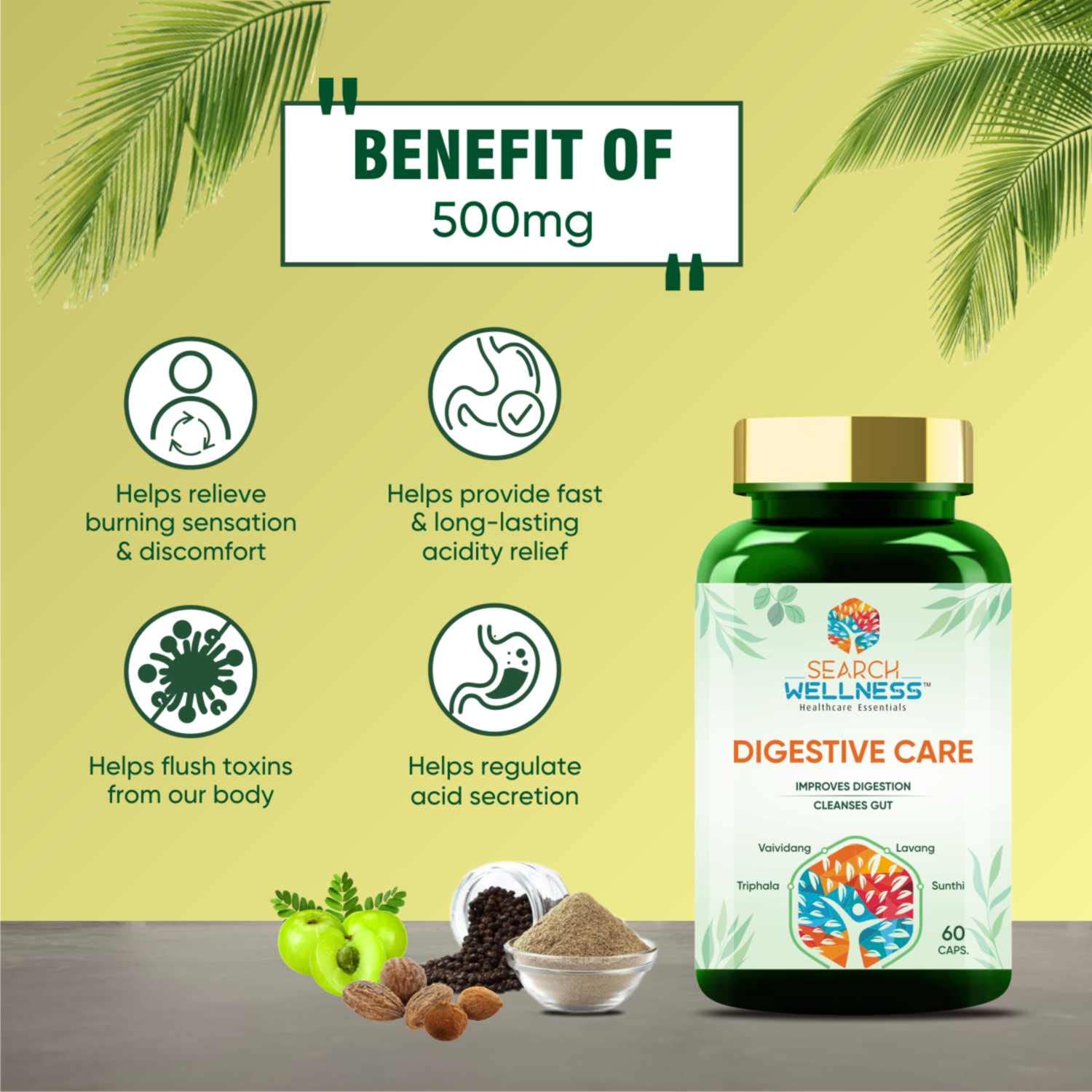 Search Wellness Digestive Care Natural & Herbal Capsules For Better Digestive Function & Healthy Gut, Healthy Digestion & Boost Immunity | 60 Capsules, 100gm 0.2lbs Each Pack Of 2
