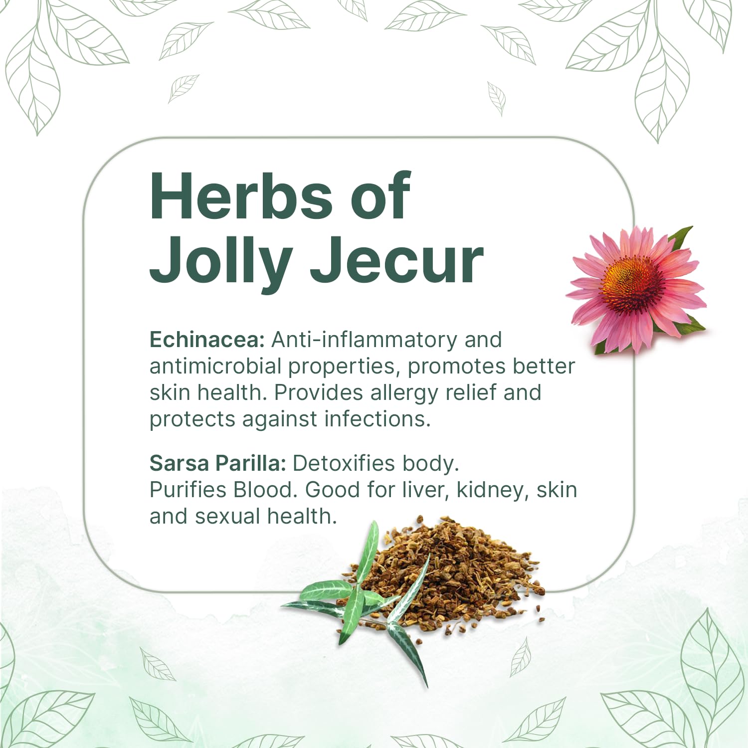 SOL Jolly Jecur Liver Detox Tea - 20 Pyramid Tea Bags | Assortment Of Herbs, Contains Milk Thistle, Nettle, Dandelion Root & Sarsaparilla - Helps Remove Toxins & Protect Liver | Preservatives Free